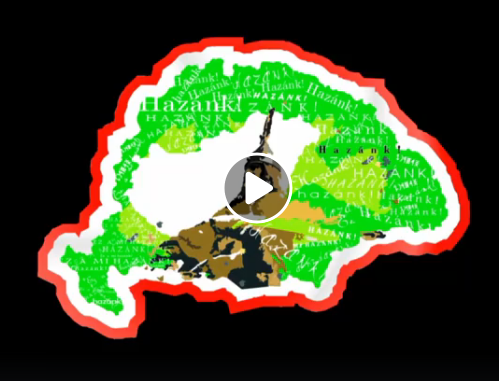 video.png